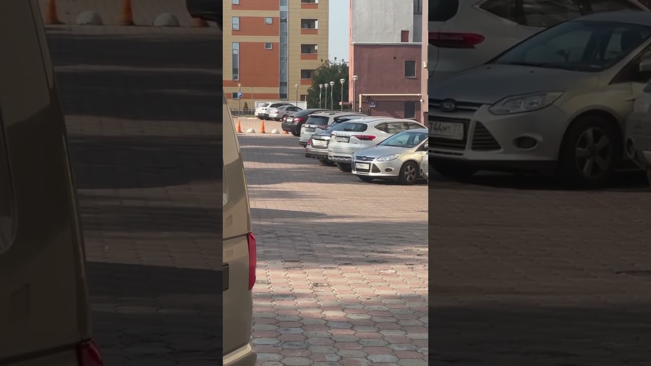 #тамаев #венгалби #asco #amg #закар #tuning #mperformance
