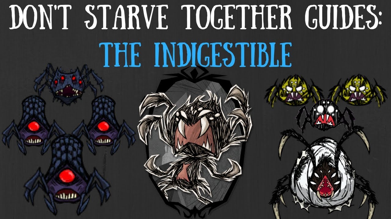 Don't Starve Together Character Guide: Webber