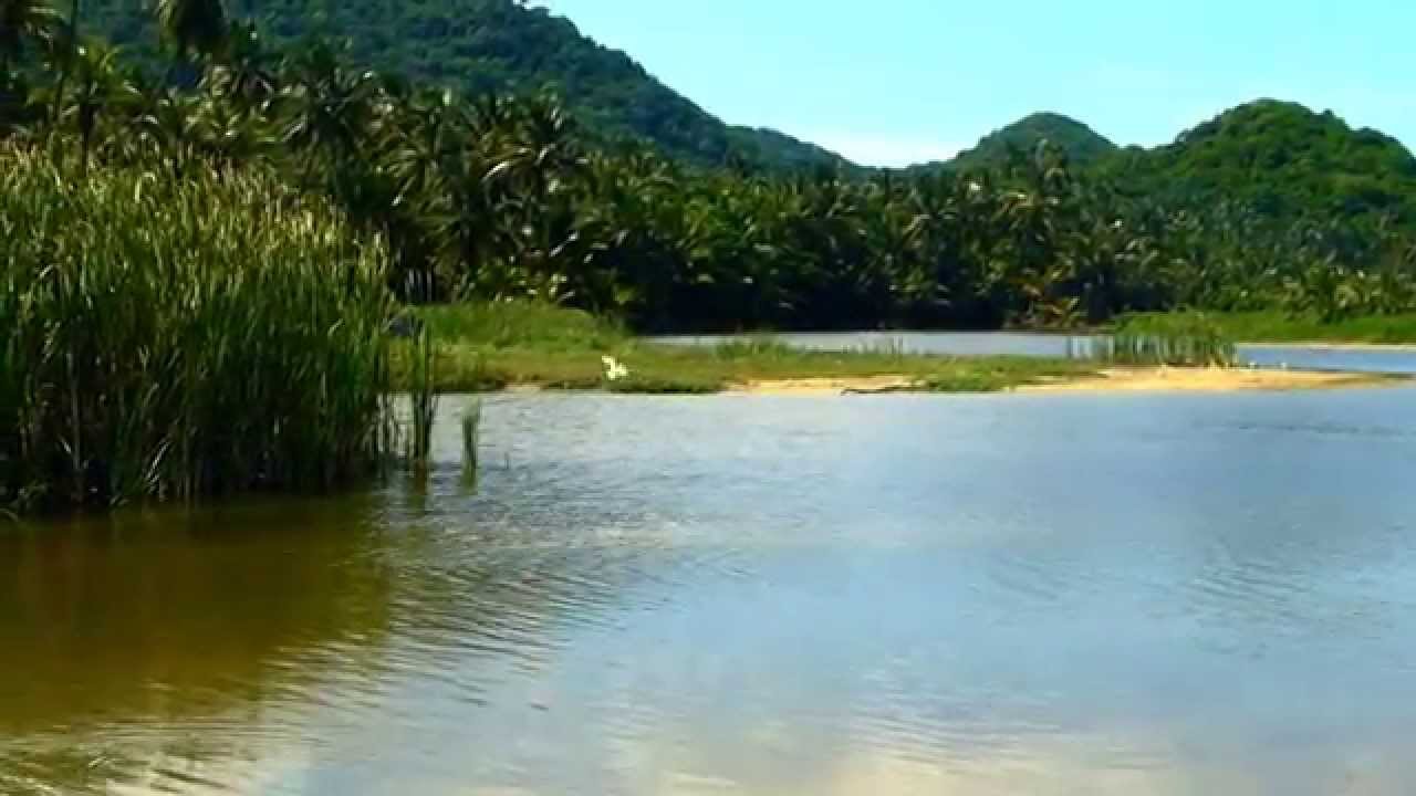 #13702, Ave en un lago sale a volar [Efecto], Animales, aves