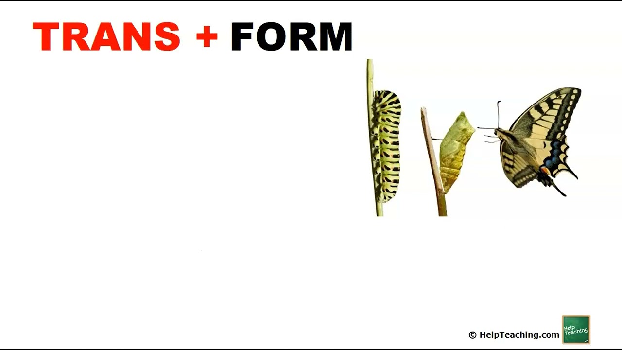 Prefix Trans