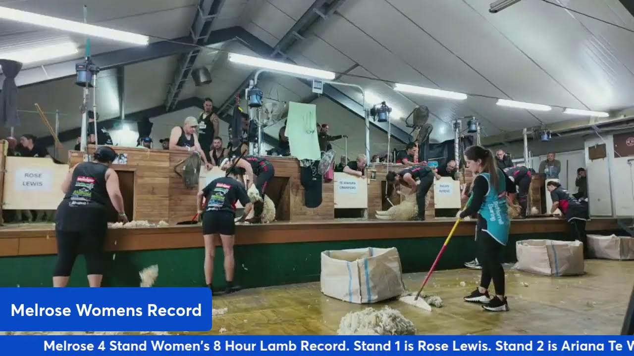 Melrose 4 Stand Womens Record