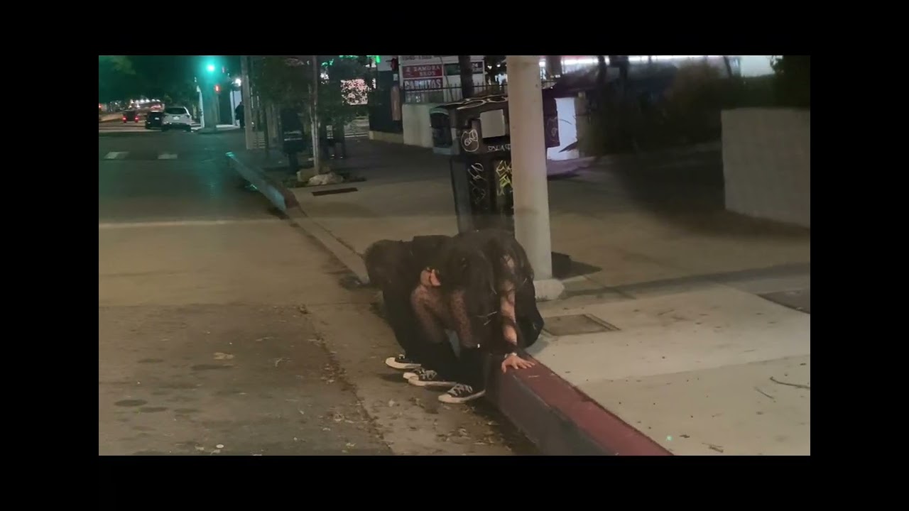 Don’t drink too much 🍻🍷🥂🍾😵‍💫🤮 or even the Waymo Is going to kick you out ! 