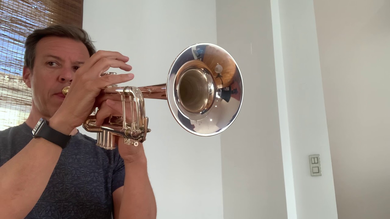 Rubén Marqués (Haydn orchestralplayalong)