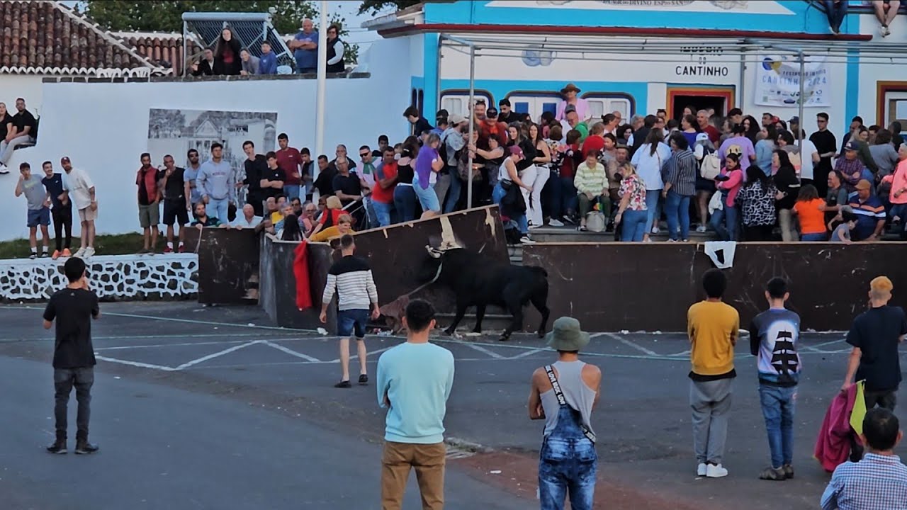Ilha Terceira Açores, 30-05-24 Tourada a corda no Cantinho HF/JG/RG/FS.