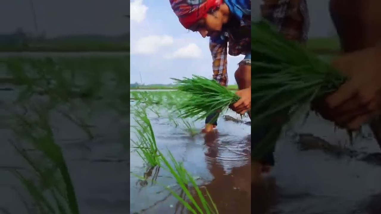 Condition of landless farmers in India !