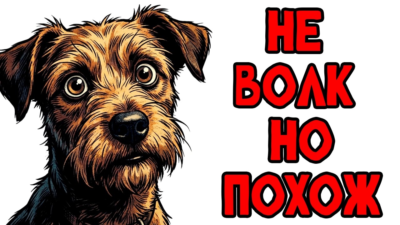 Ты - СОБАКА (И ЭТО ВСЯ ТВОЯ ЖИЗНЬ)