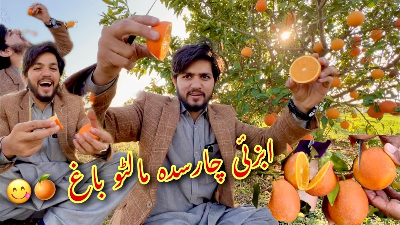 Da Malto Bagh Ta Laro|Abazai Charsadda Vlog By HammadKhan Vlogs|