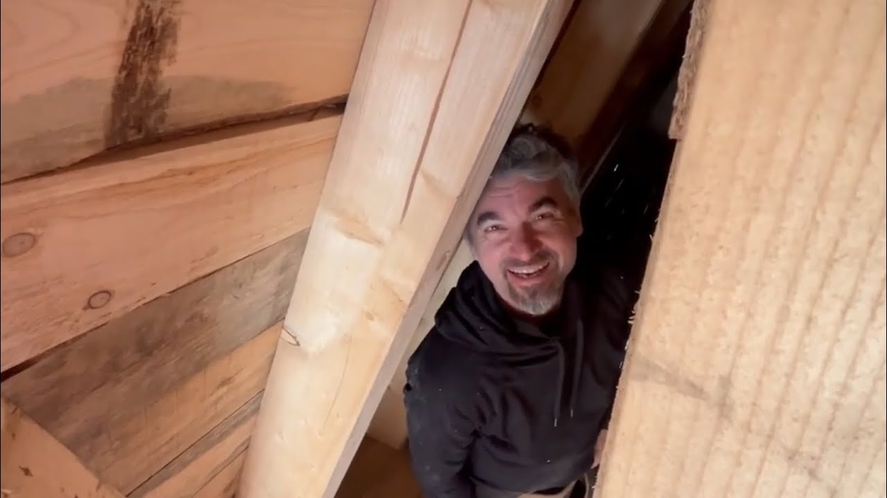 Rafters and Trees   sometimes you have to work to be able to work