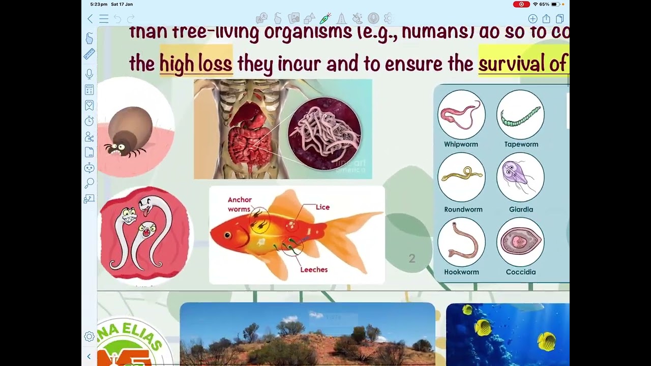 CHAPTER 3. #reproduction_in_organisms #biology #secondary_education #mina_elias.L.1.P.1