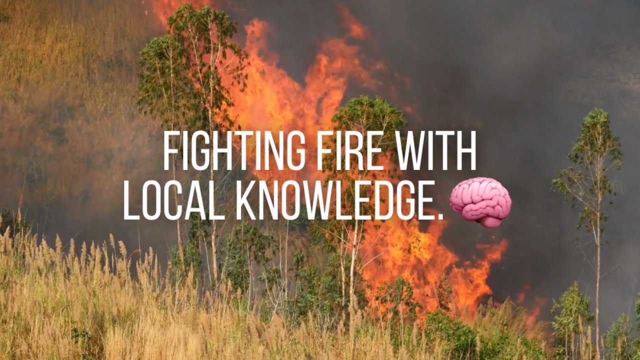 Africa's wildfires are getting worse??