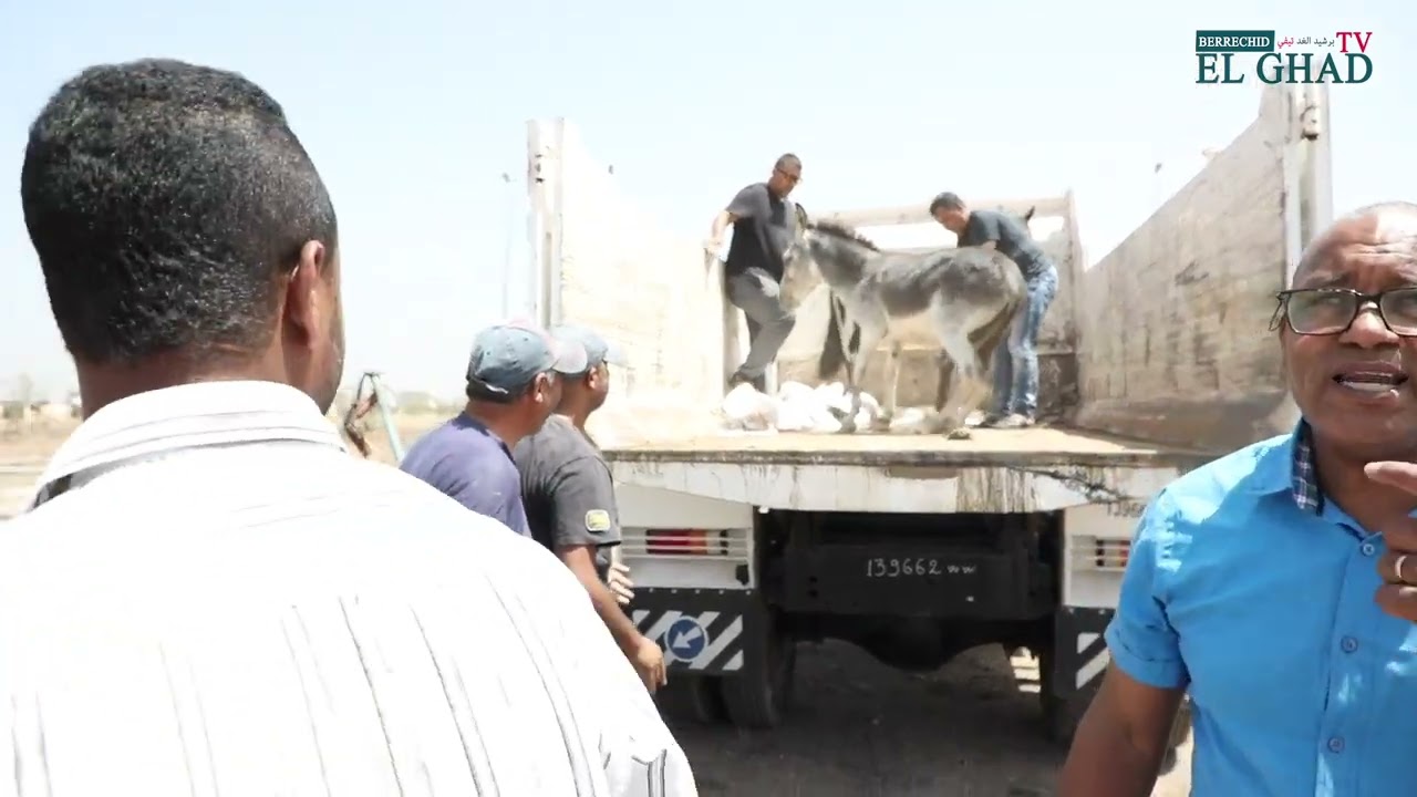 حملة ضد الدواب و العربات المجرورة بتنسيق مع العناصر الأمنية ببرشيد