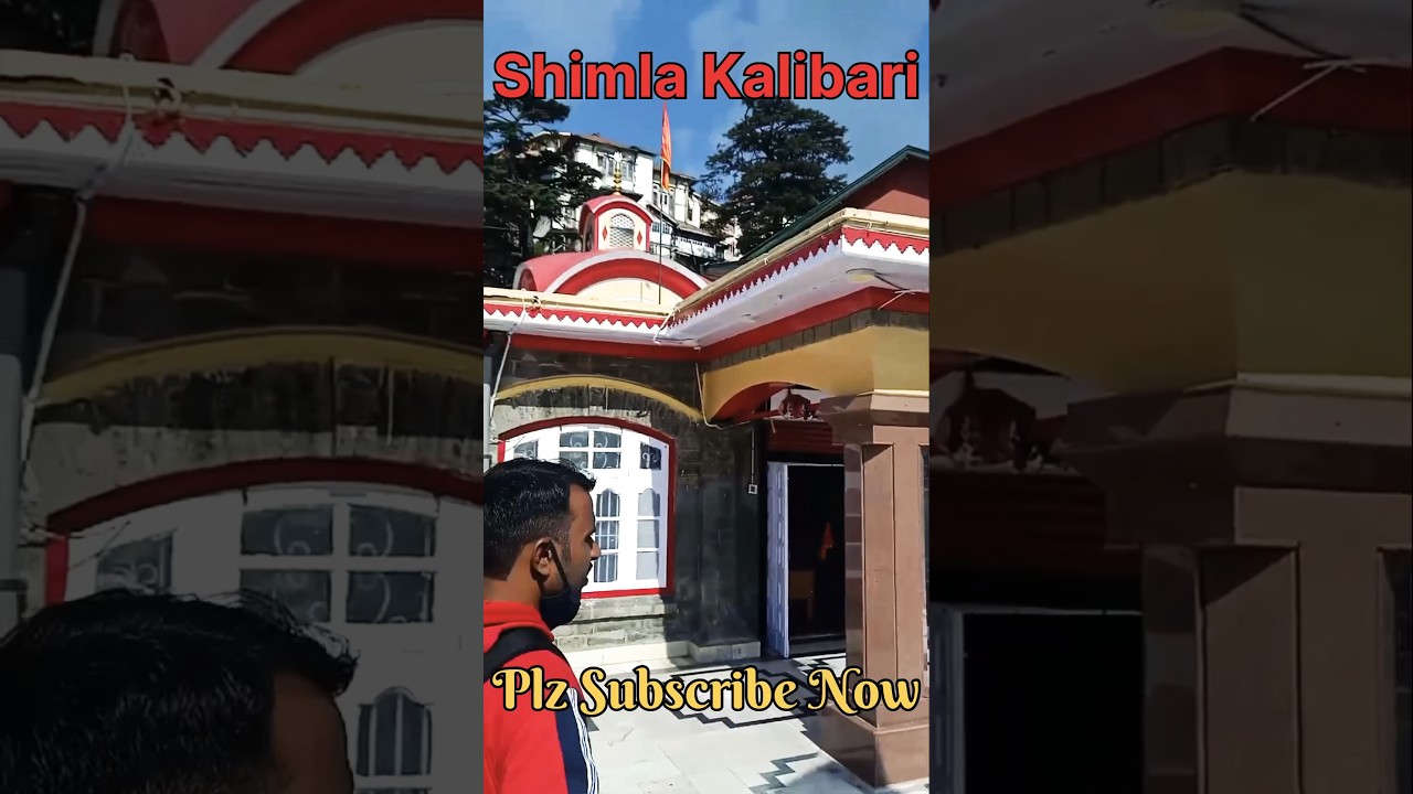 Shimla Kalibari ||Shimla Manali tour guide #youtubeshorts #shorts #viral #shortsfeed