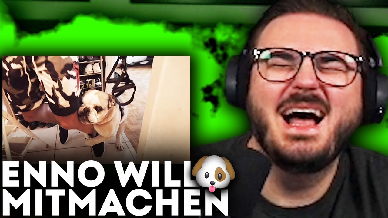 Staiy REAGIERT auf HOLLYWOOD MATZE HOMEWORKOUT