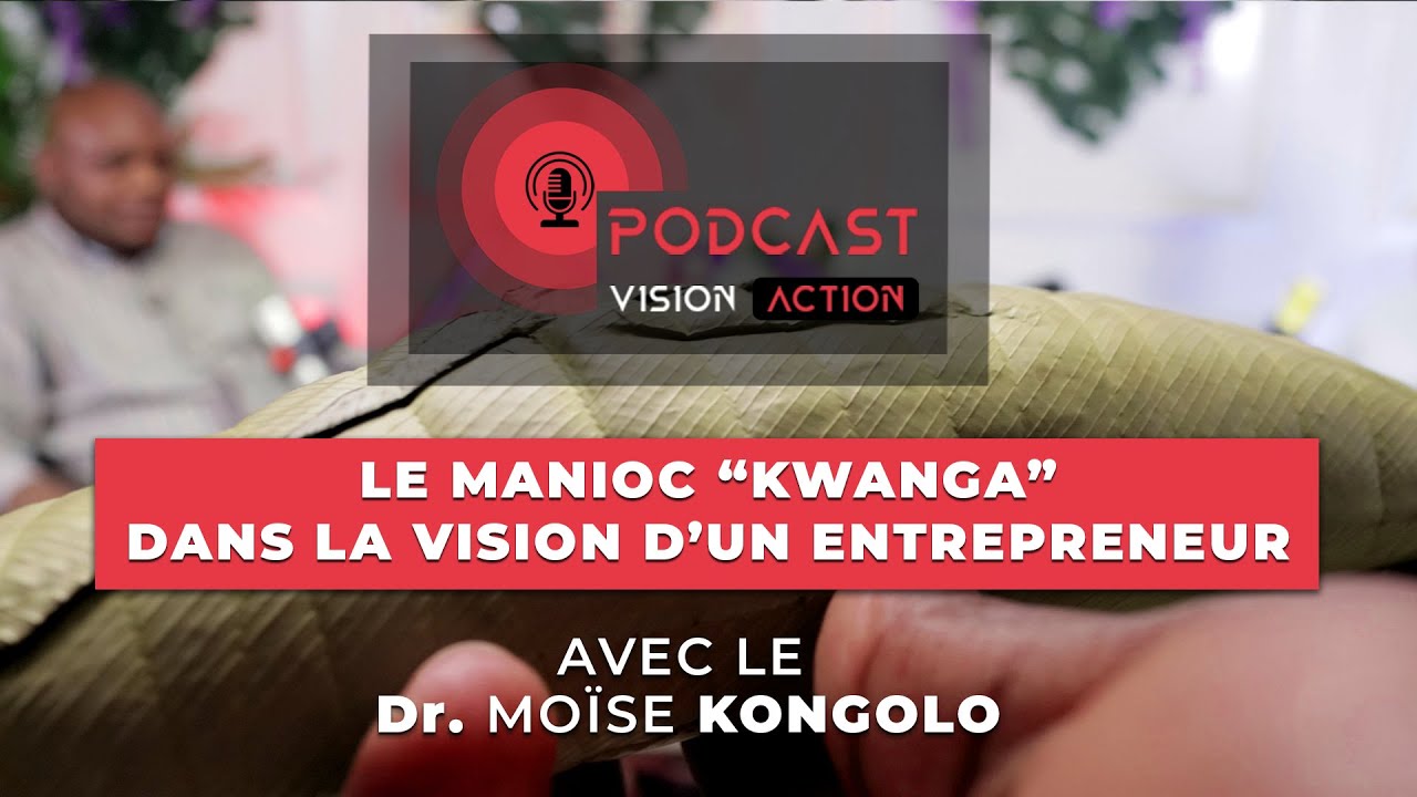 LE MANIOC dans la vision d'un ENTREPRENEUR - PODCAST VISION-ACTION - épisode 1 part 2, GEA SERVICES
