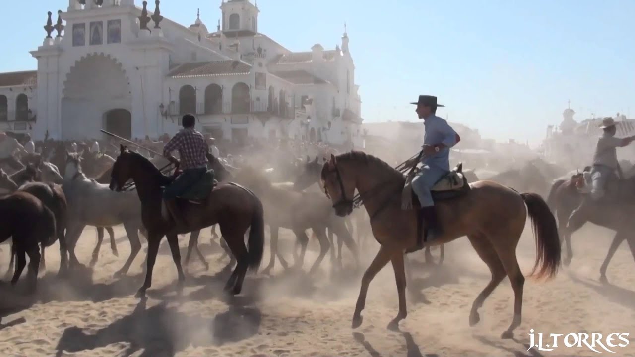 SACA DE LAS YEGUAS 2015