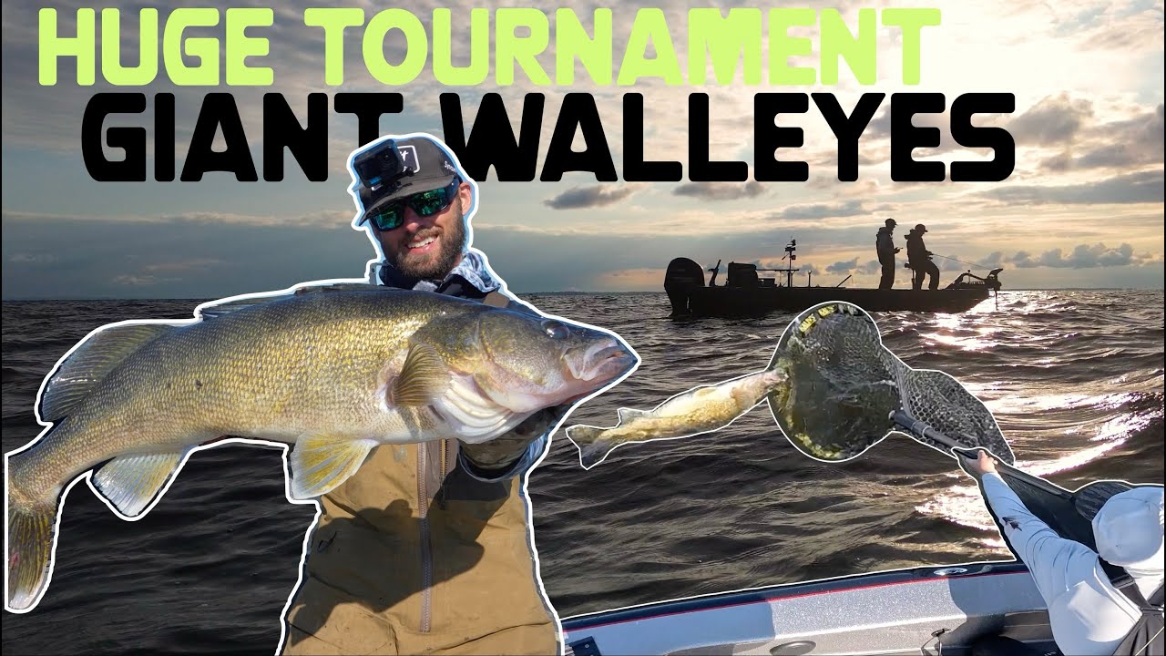 Fishing a HUGE TOURNAMENT for GIANT Walleyes!