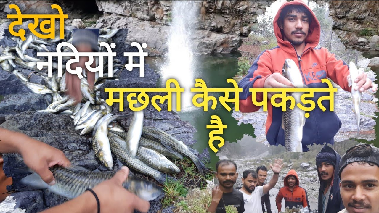 देखिए नदी में कैसे पकड़ते है मछली || fishing in Village River of uttarakhand