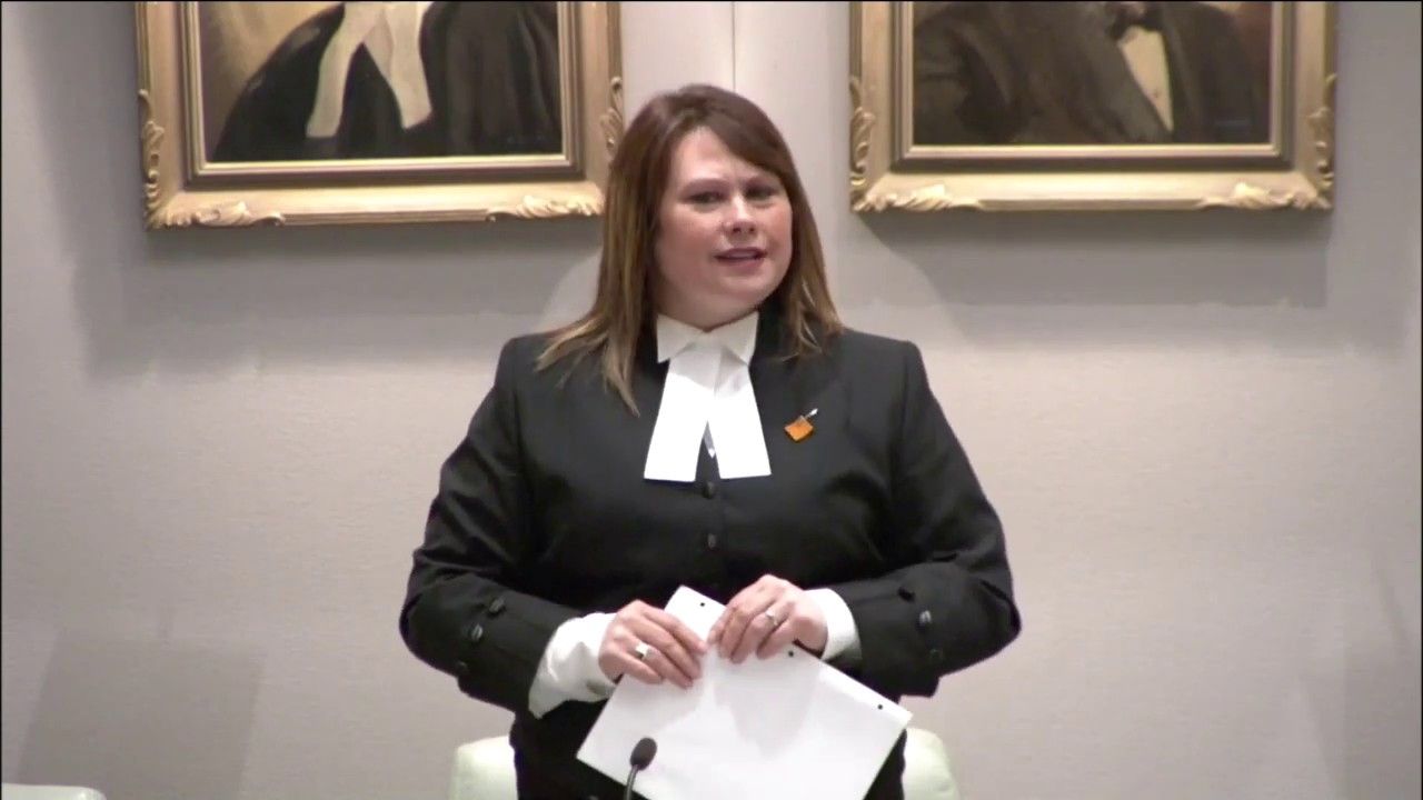 MHA Pam Parsons Speaks to a 2019 Interim Supply Bill