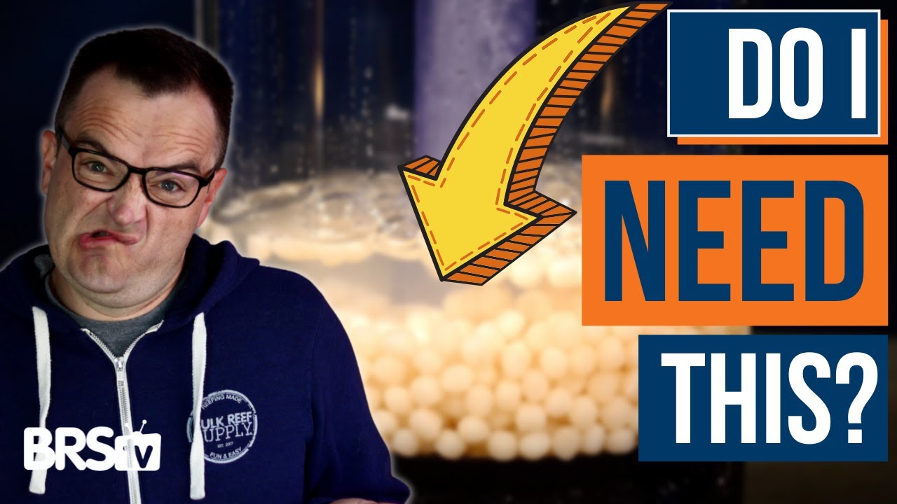 Saltwater Aquarium Equipment You Can Wait On! EP: 6