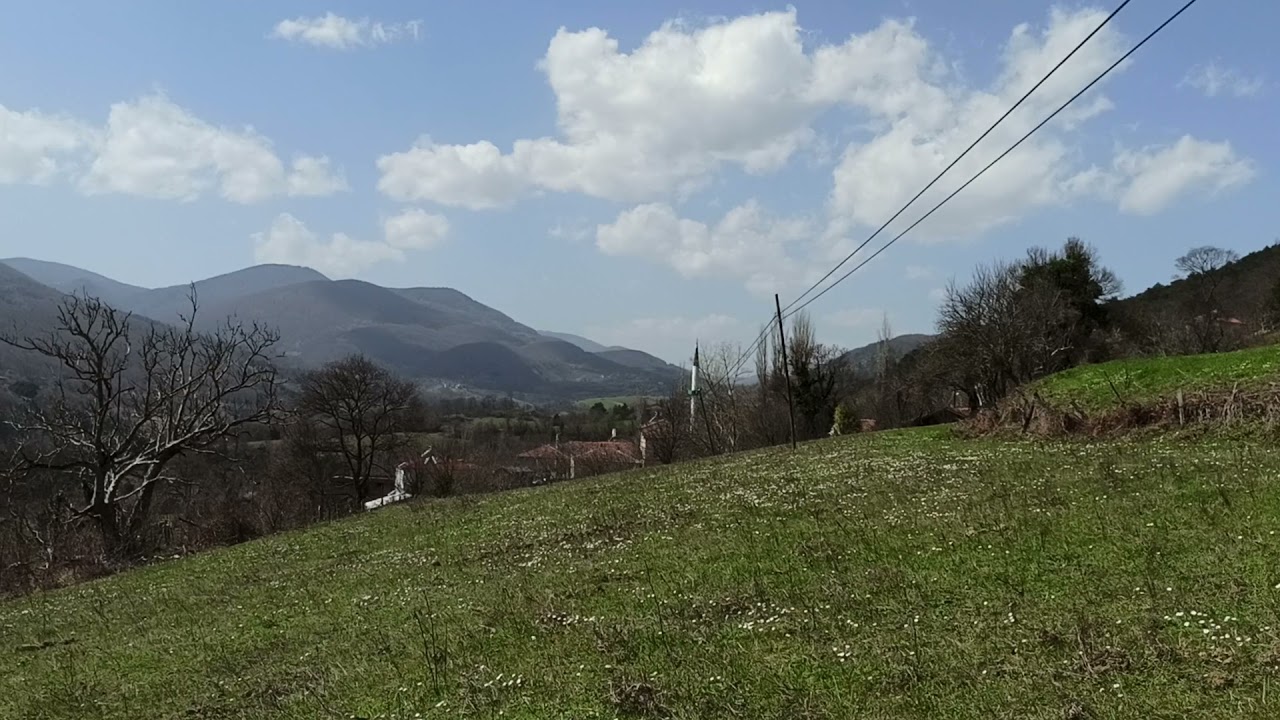 SİNOP EMİRHALİL KÖYÜ 1500M2 SATILIK TARLALAR---FİYAT DÜŞTÜÜÜ..100 BİN.TL.