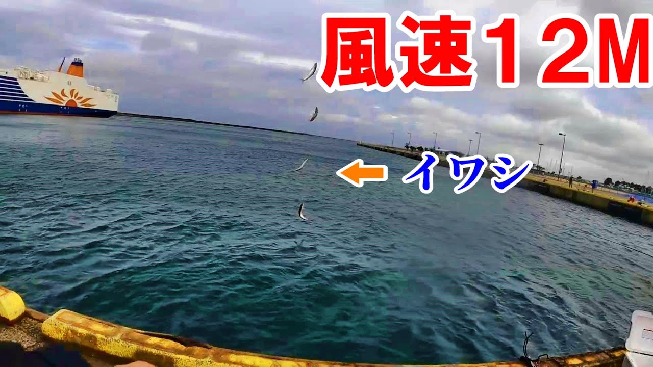 【大洗港サビキ釣り】爆風の中堤防釣りでトラブル続出…台風が迫る