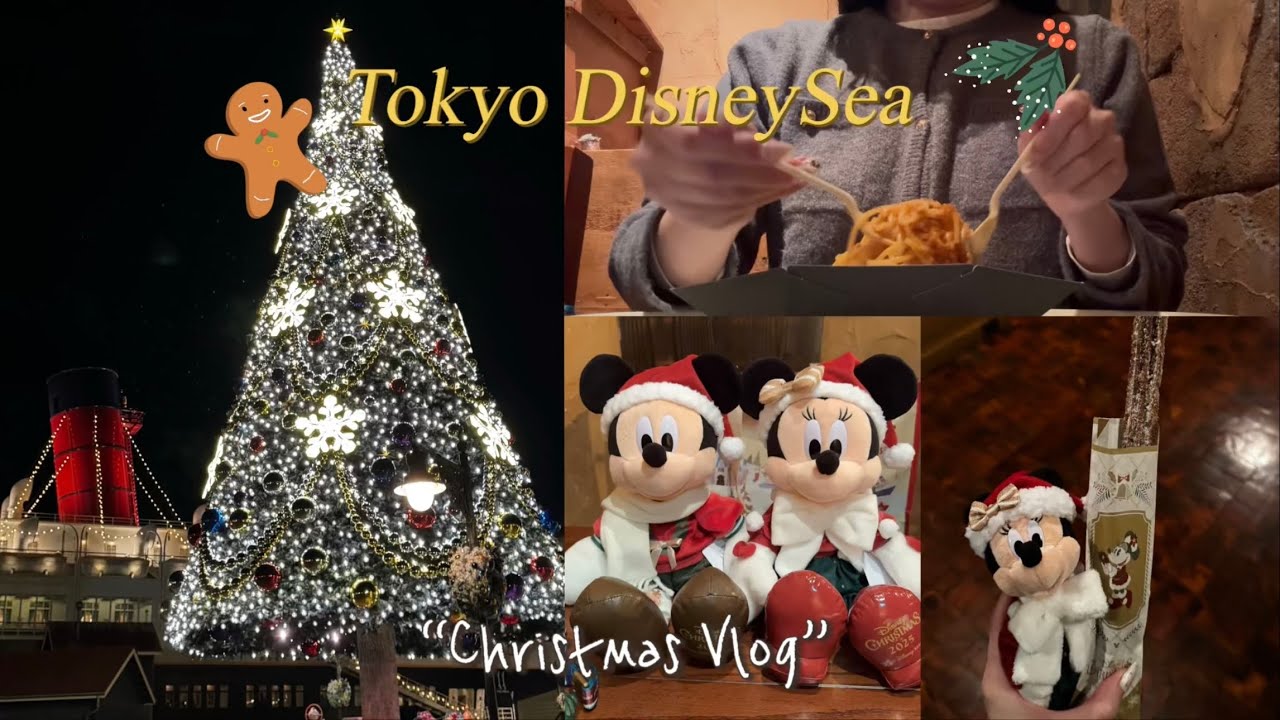 【Vlog】仕事終わりに1人でクリスマスのディズニーシーを大満喫した日🎄❤️2時間半でも楽しむ！