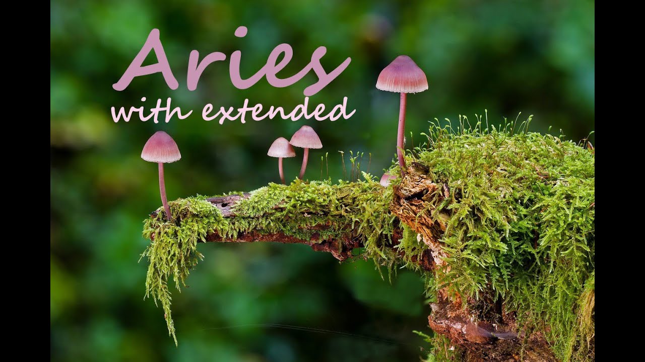 ARIES Timeless Love tarot (April) - OMG! WOW, WOW, and WOW!