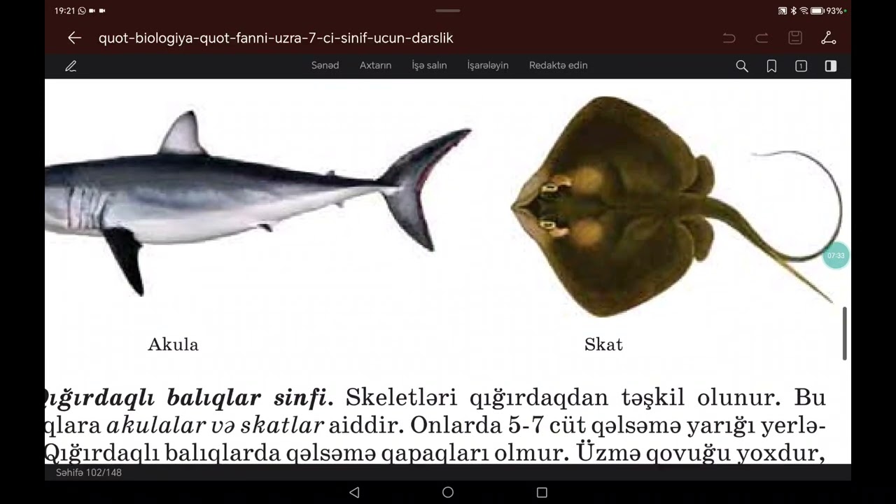 7 ci sinif Biologiya. Xordalılar tipi 🐟