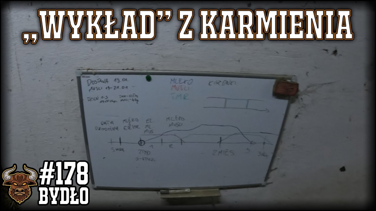 #178 Bydło opasowe - Jak karmimy cielaki w naszym gospodarstwie?