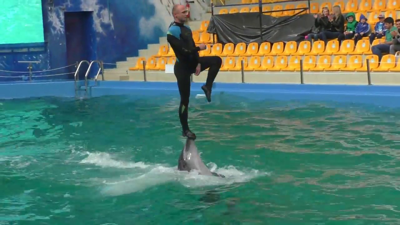 Одесский дельфинарий NEMO - новое шоу Единая Планета