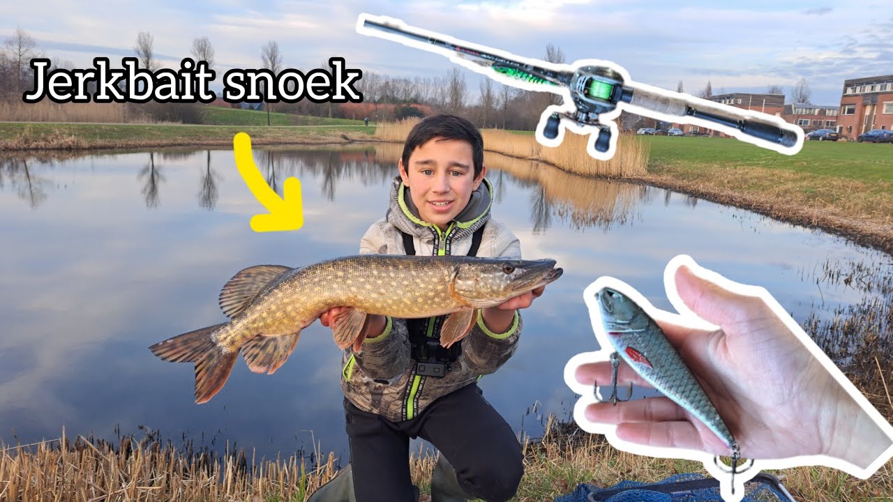 Jerkbait vissen in de winter!(met uitleg en vangsten)