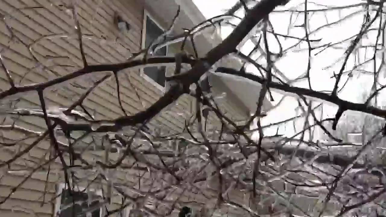 Northeast ICE STORM