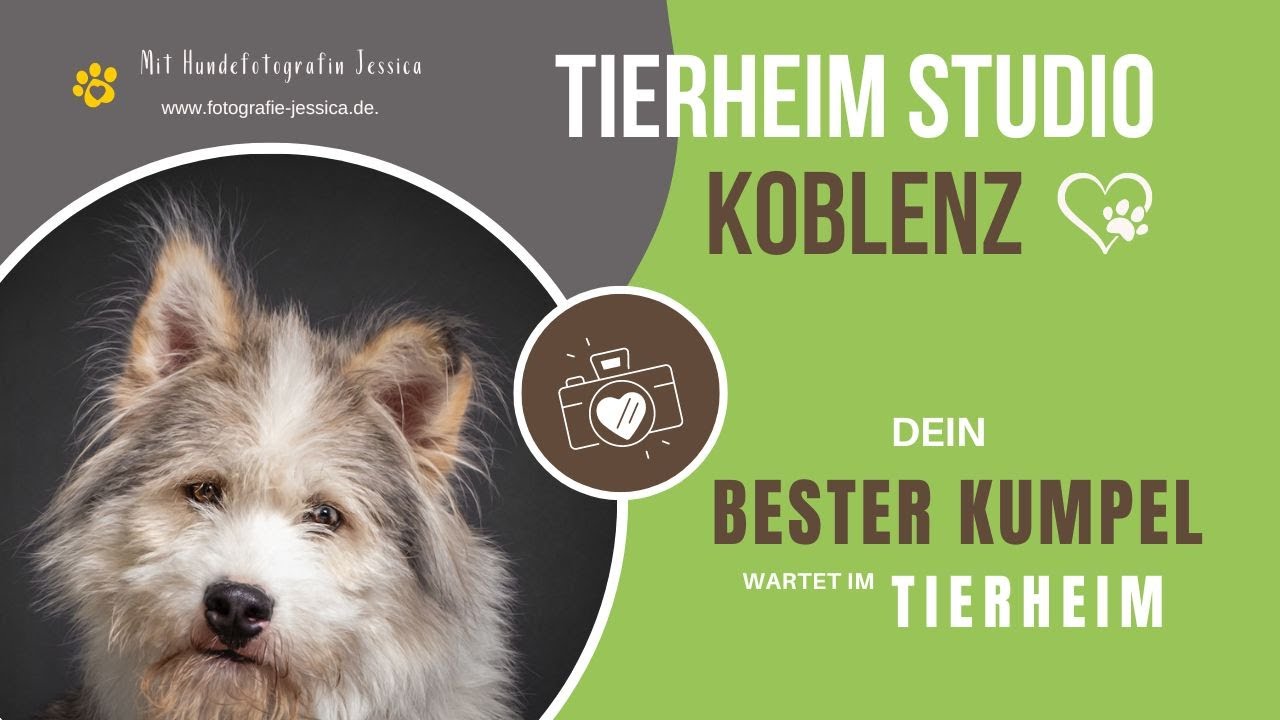 Neue Fellnasen im Tierheim Studio Koblenz