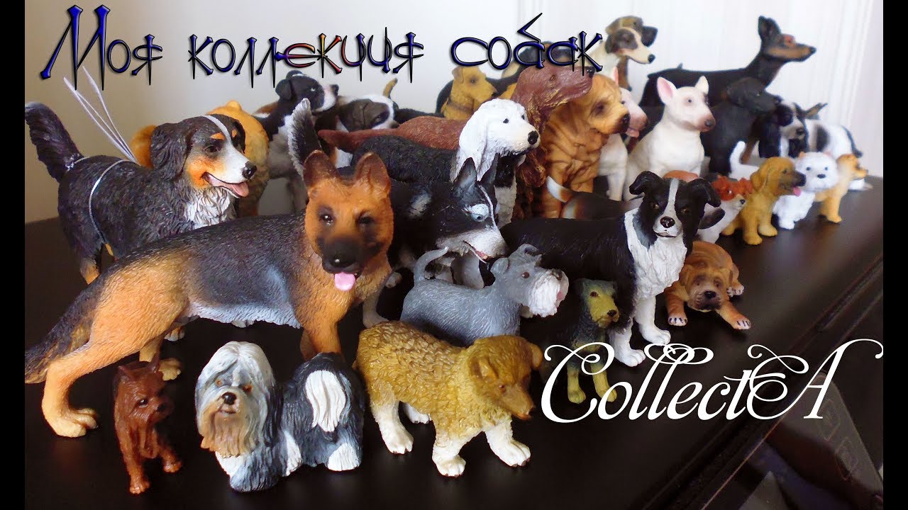 Моя коллекция собак от фирмы CollectA/ My collection of dogs by CollectA