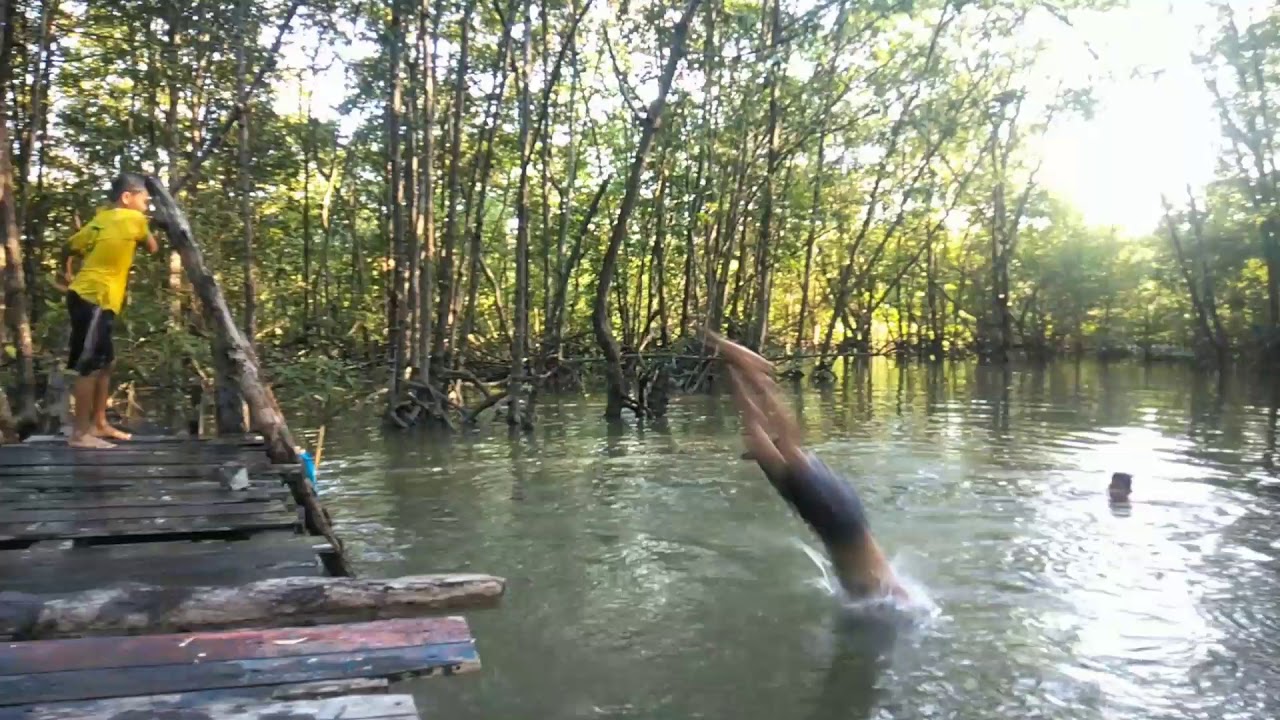 JELAJAHI HUTAN MANGROVE KARIANGAU DAN JEMBATAN YANG DILALUI PARA NELAYAN