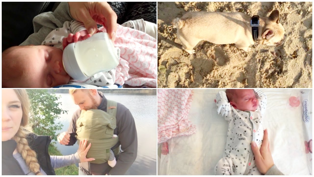 Erster Family VLOG │Alltag mit Baby, Ausflug, Flaschenkind?