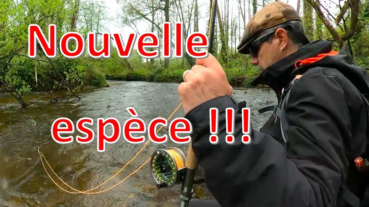 Un poisson que je n'avait encore jamais pris
