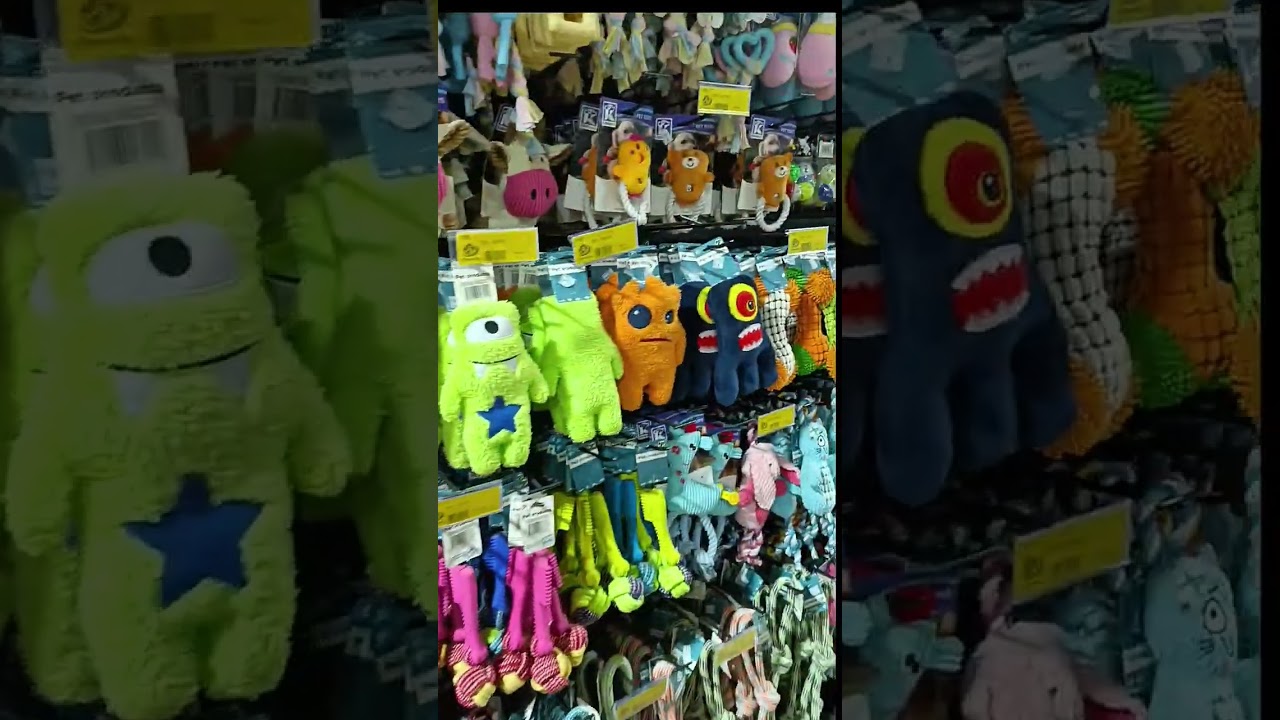 😱 You NEED to see this Pet Section! China Square Kenya