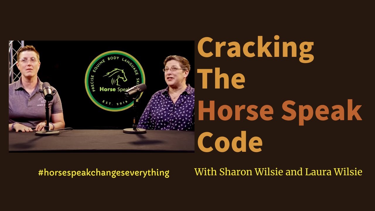Cracking the Horse Speak Code   What Does a Horse's Head Height Tell You?