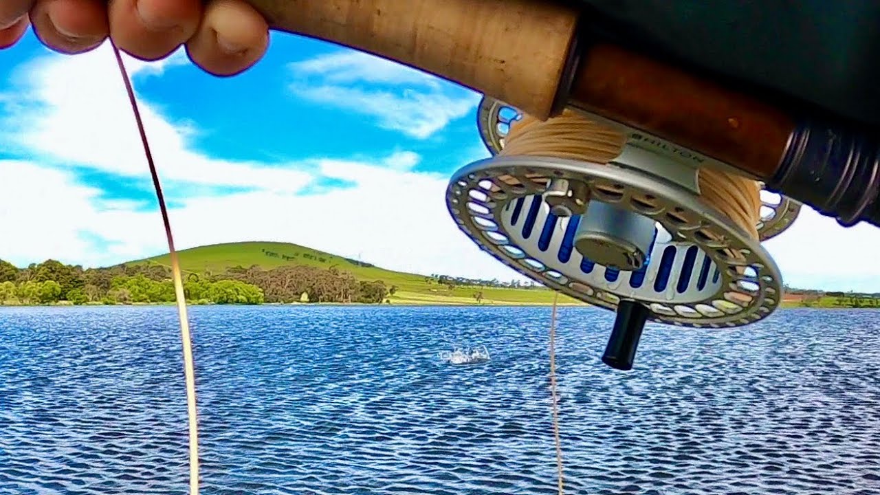 Catching Brown Trout Nymphing on a Lake | Newlyn Reservoir, Victoria