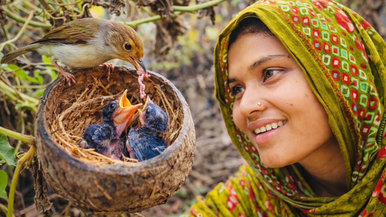 বৃষ্টি ভেজা টুনটুনি পাখির বাচ্চা | Bd life 