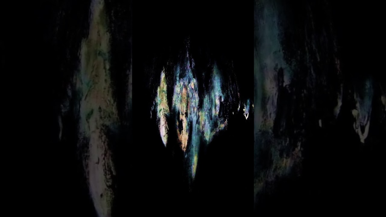 Fellow Follower - Solutio 