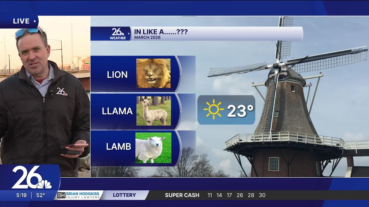 Lion, llama or lamb?