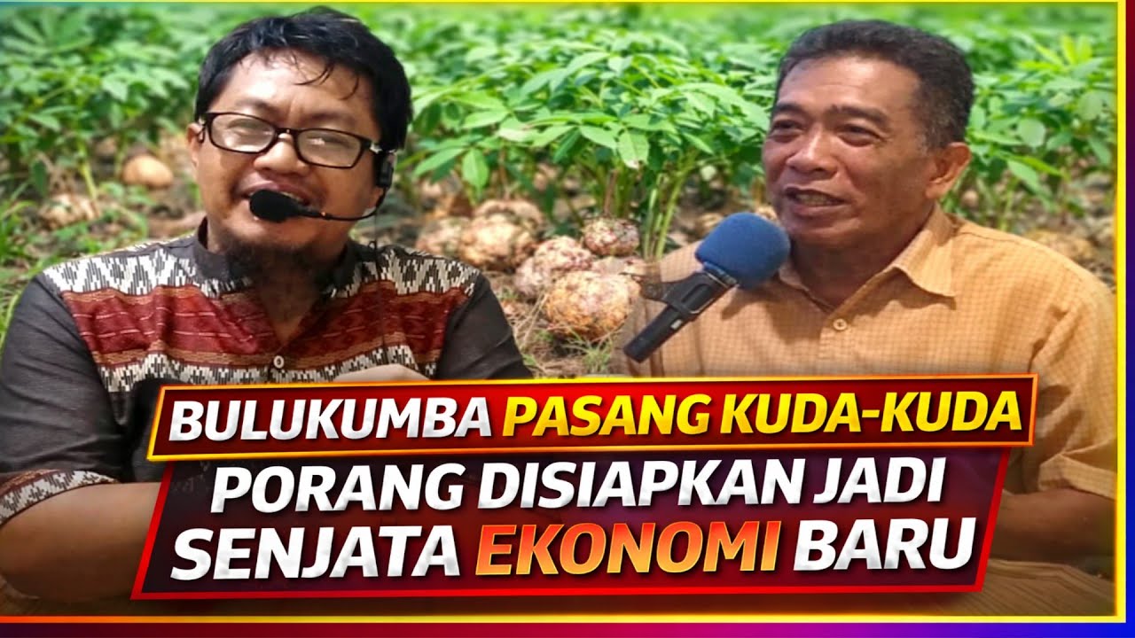 Sinyal Keras ke Pasar‼️Porang Bulukumba Kini Terorganisir dan Siap Bersaing (Edisi:105)