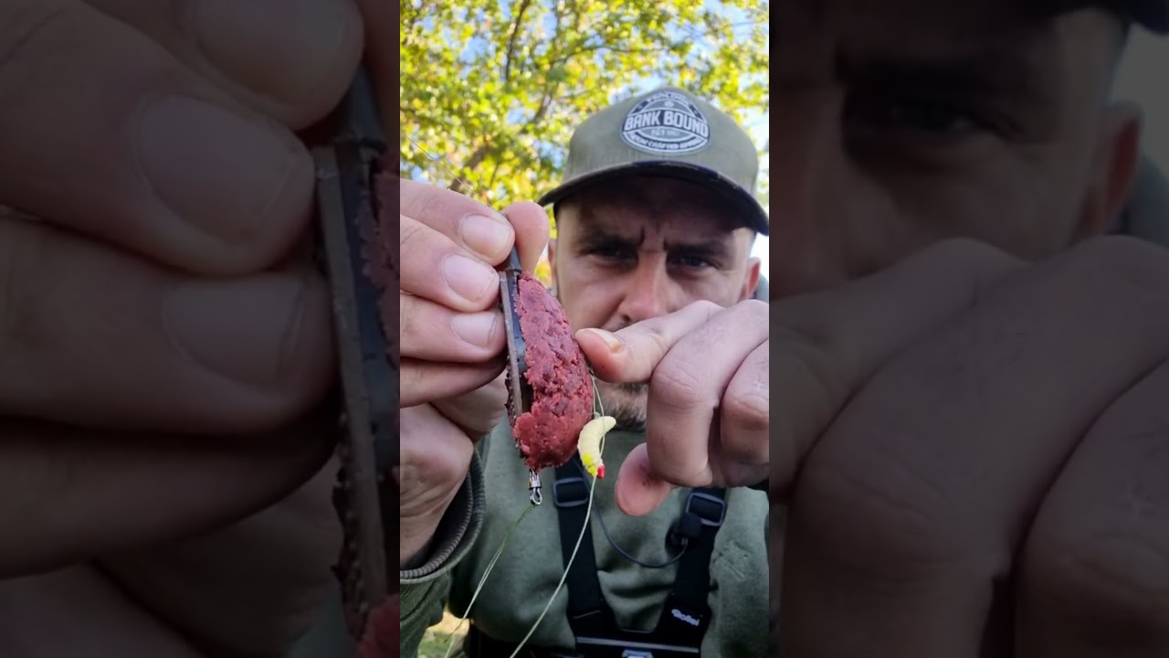 umel&eacute; n&aacute;strahy na kapra - ReWik Ryb&aacute;rske videa #rybolov #kaprarina #feeder #kapr #kaprarina