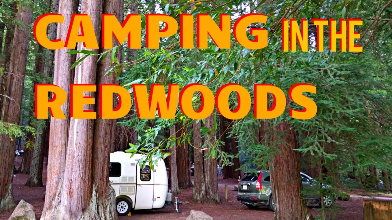 Heading to the Redwoods!
