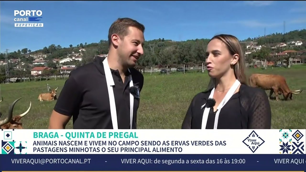 Raça Barrosã Quinta de Pregal - Porto Canal