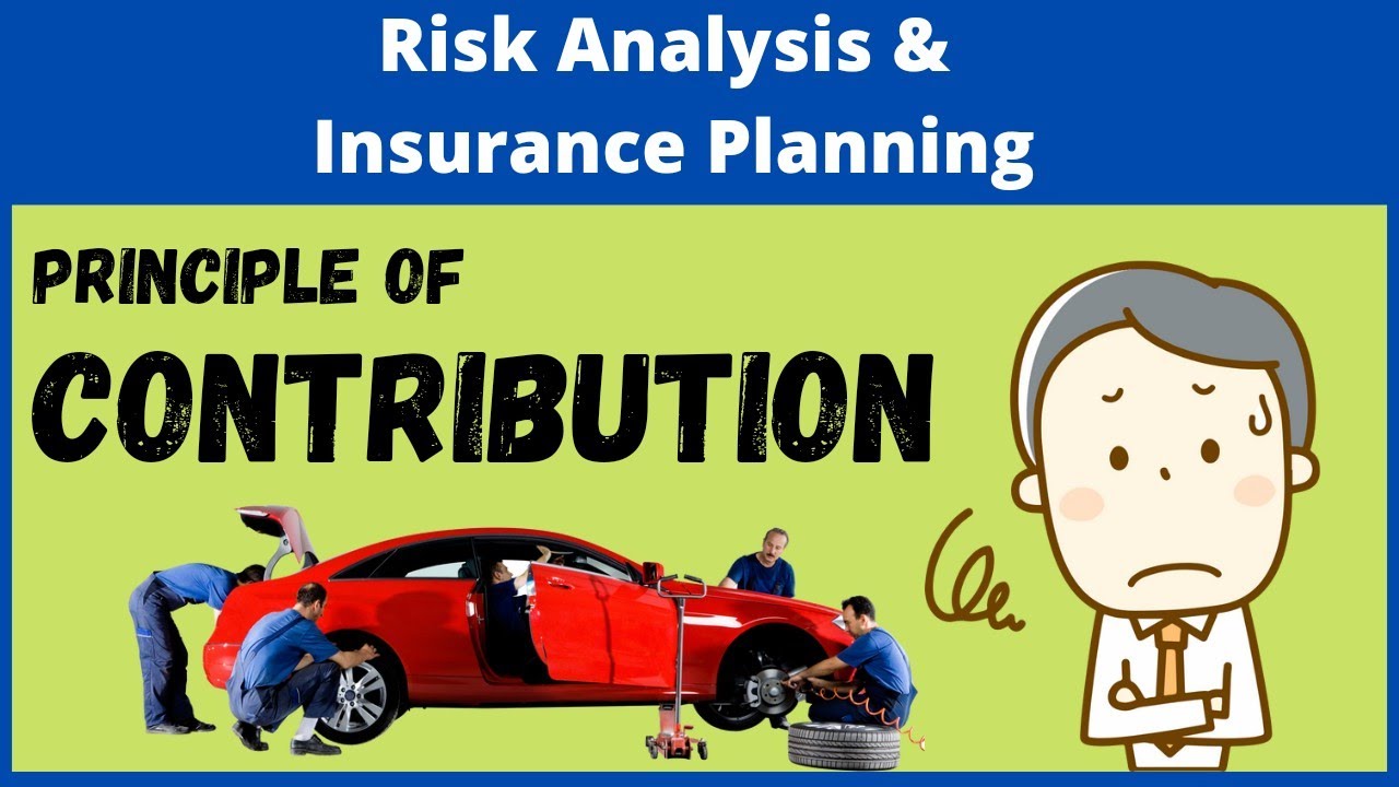 Principle of CONTRIBUTION  | Fundamental Principles of Insurance |RAIP | Falcon Fin