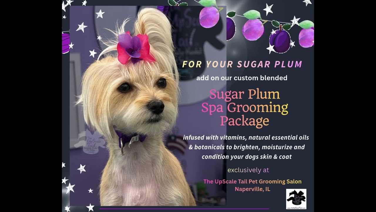 Sugar Plum Spa Grooming Package