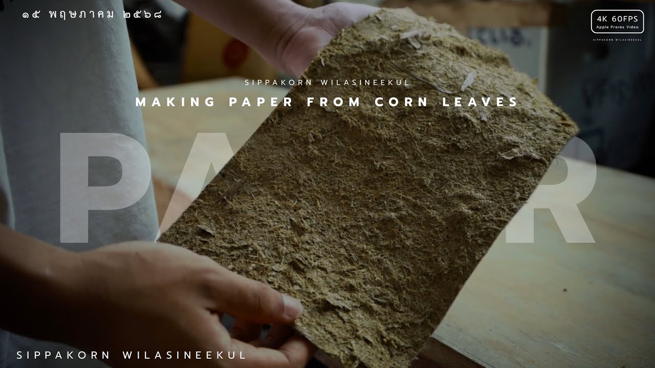 ทำกระดาษจากใบข้าวโพด  I  I make paper from corn leaves